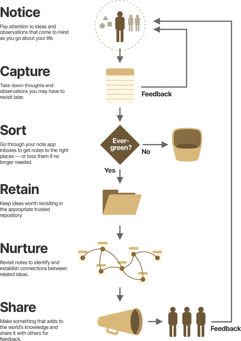 一个流程图，展示了知识园艺的六个不同步骤：注意、捕获、分类、保留、培育和分享。