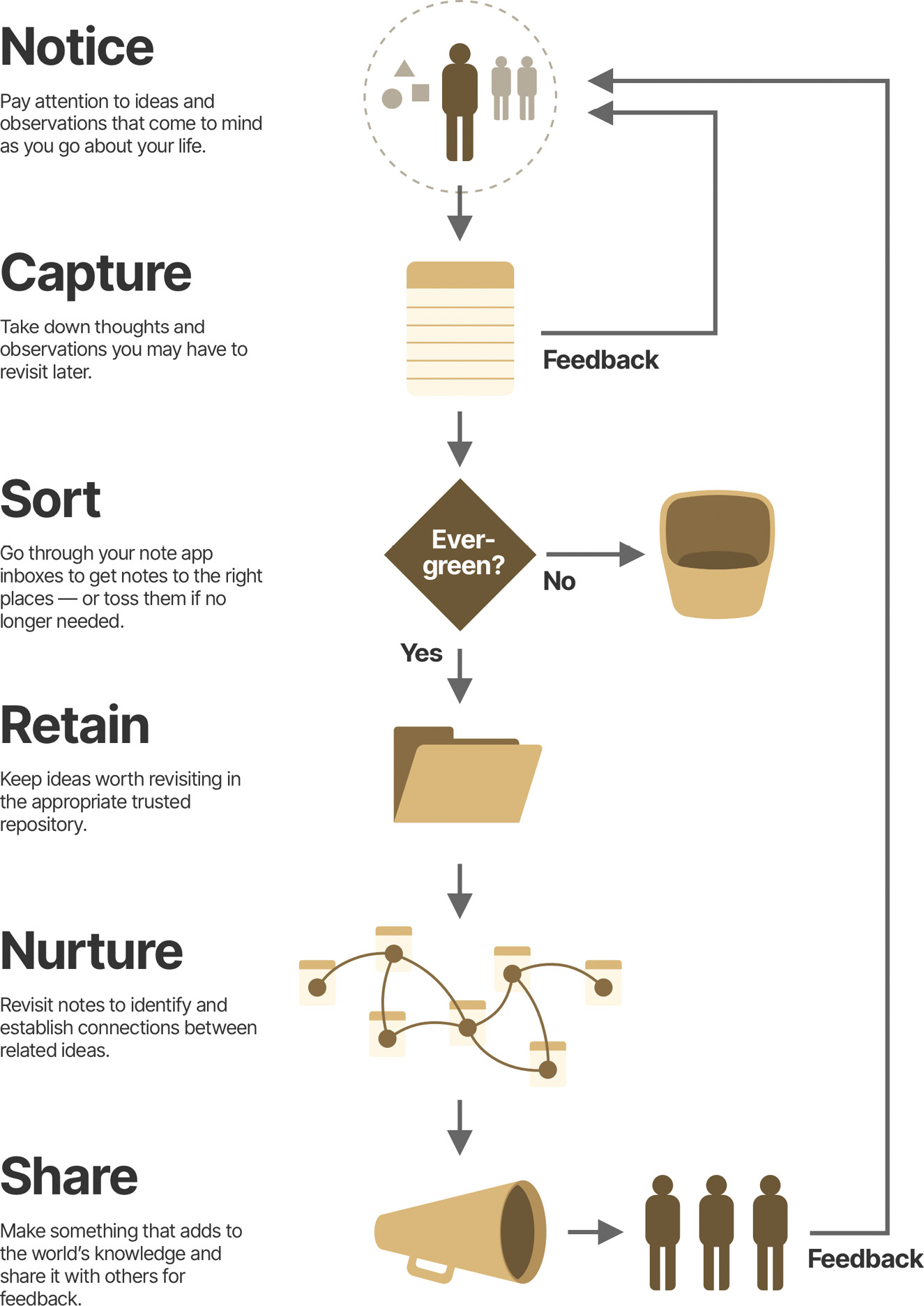 流程图展示了知识园艺的六个不同步骤:注意、捕获、分类、保留、培育和分享。