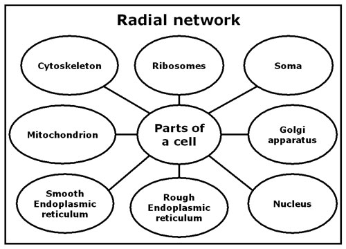 放射状网络示例