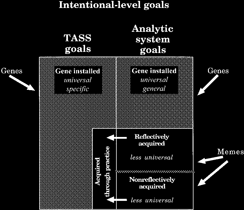 图7.2 关于基因安装的目标和模因安装的目标如何在TASS和分析系统中分布的假设
